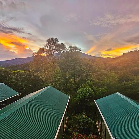 Eco Horqueta Bed & Breakfast Boquete Luaran gambar